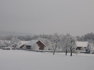 sněhová kalamita leden 2010